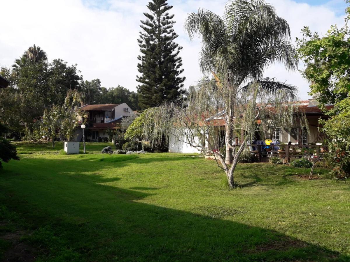 Kibbutz Hatzor A Room Close To Ashdod Hatzor Ashdod المظهر الخارجي الصورة