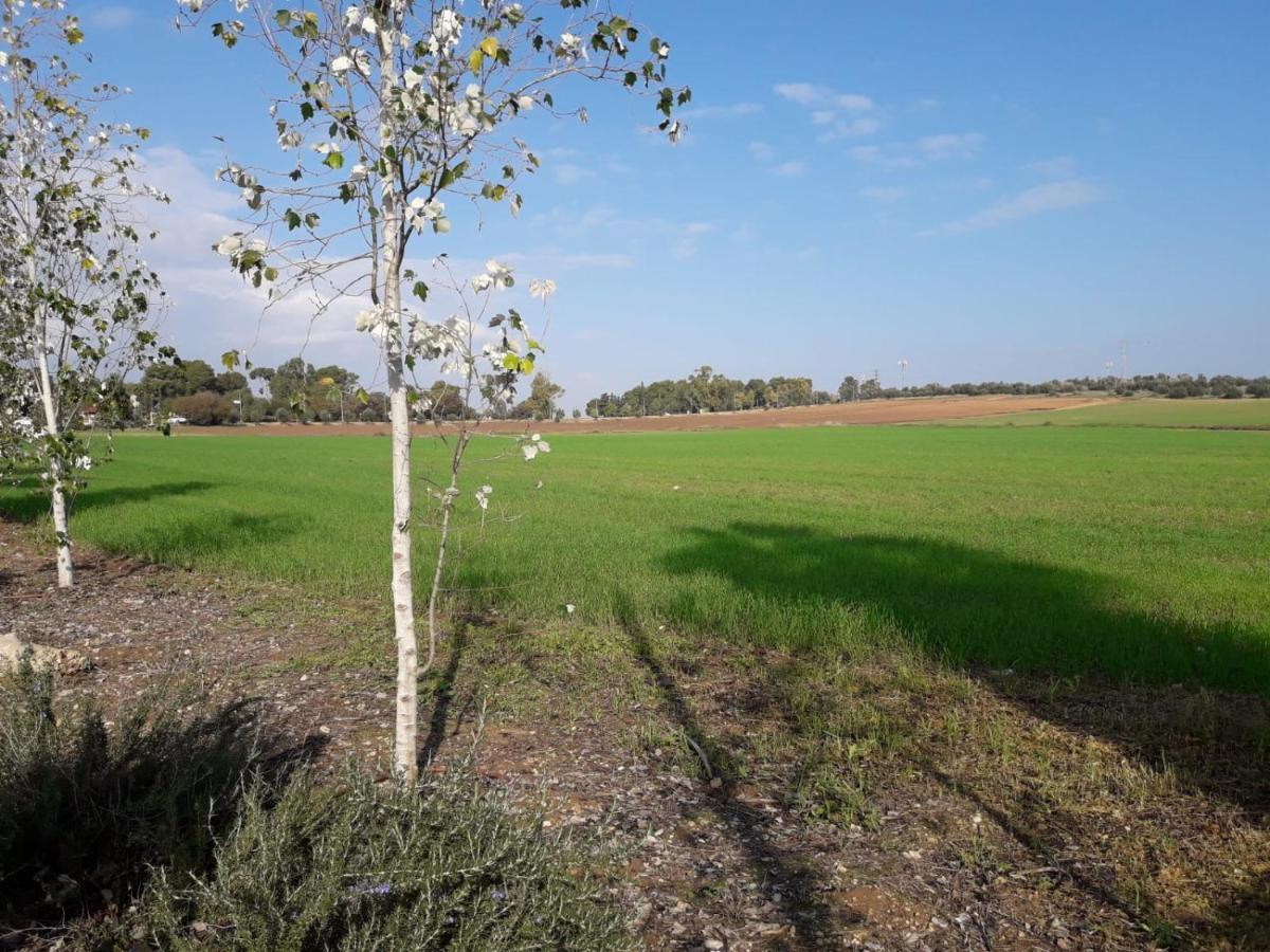Kibbutz Hatzor A Room Close To Ashdod Hatzor Ashdod المظهر الخارجي الصورة